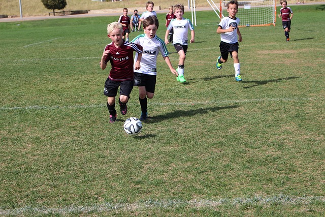 专家称时机 专家称时机