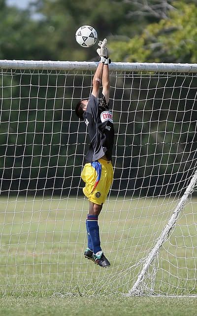 平了道路 平了道路